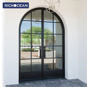 RICHOCEAN Customized Arched Aluminum Framed Swing Glass Door Crittall Style
