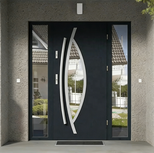 Modern Design Entry Pivot Door