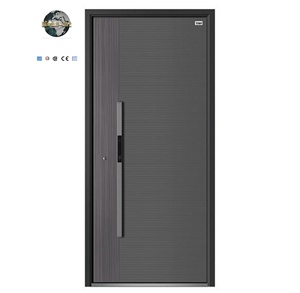 Modern Minimalist Anti-Theft Aluminum Side Door