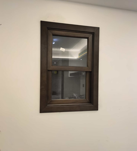 Vertical Sliding Hung Aluminum Alloy Modern Kitchen & Basement Waterproof Security Hopper Window
