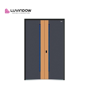 Fireproof Aluminum Entrance Doors for Commercial Buildings