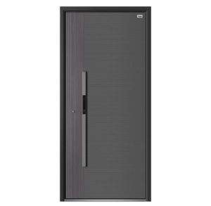 Anti-Theft Minimalist Aluminum Sliding Door