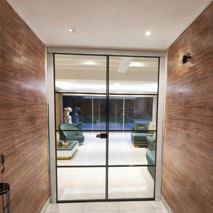 Modern Double Interior Steel French Glass Doors Clear Glass Black Finish