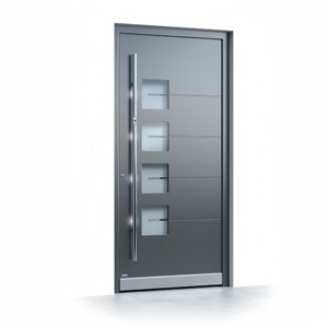 Modern Pivot Door Front Security Gate