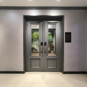 Luxury Design Aluminum Entrance Door Exterior Security Front Pivot Door