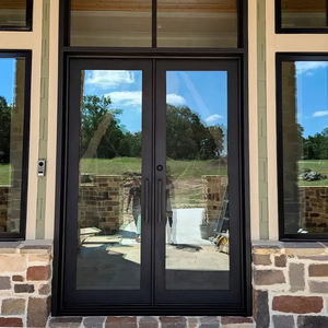 Modern Commercial Thermal Break Toughened Low E Glass Doors