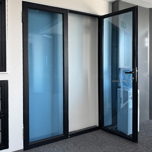 Residential Crittall Door Interior Partition Aluminum Tempered Glass French Entry Casement Doors
