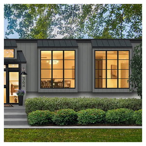 Hihaus New Custom Luxury Villas Black Crittall Aluminum Steel windows Fixed